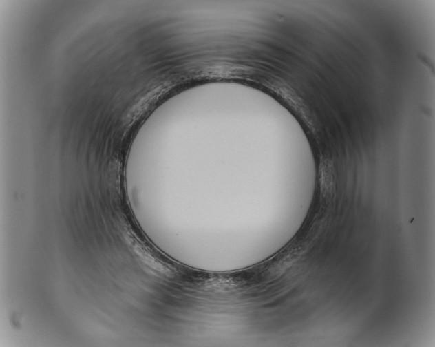 X0000100750445200807101707