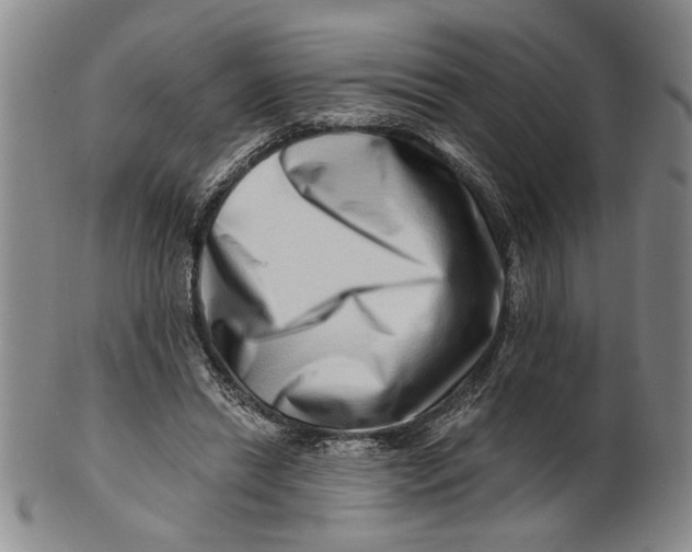 X0000100750446200807101707