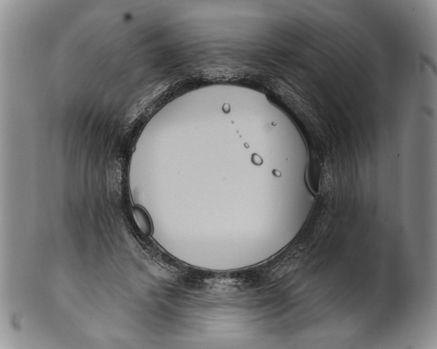 X0000100750448200807101707