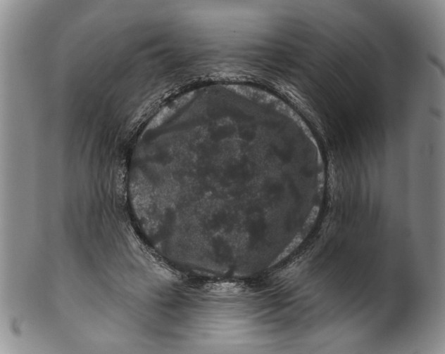 X0000100750449200807101707