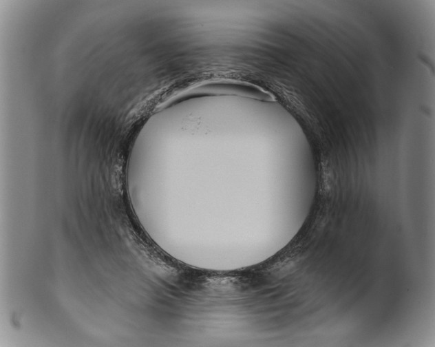 X0000100750450200807101707