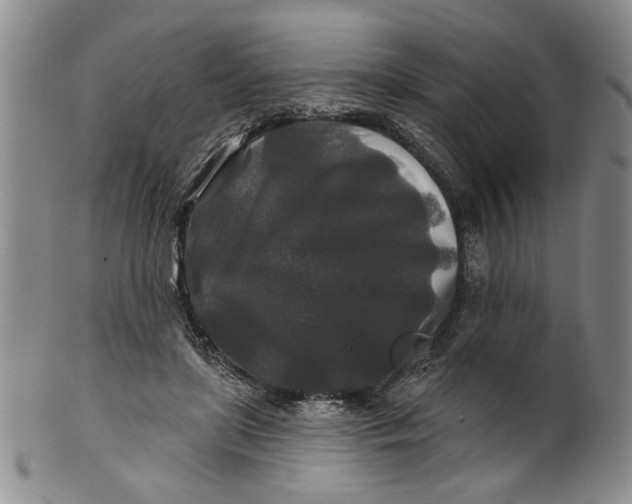 X0000100750451200807101707