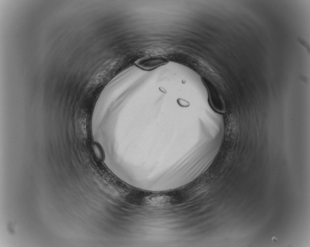 X0000100750452200807101707