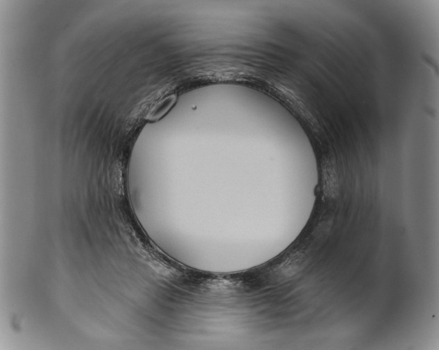 X0000100750453200807101707