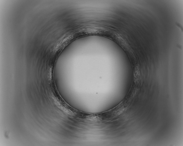 X0000100750454200807101707