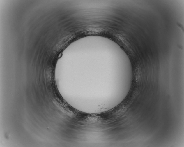 X0000100750455200807101707