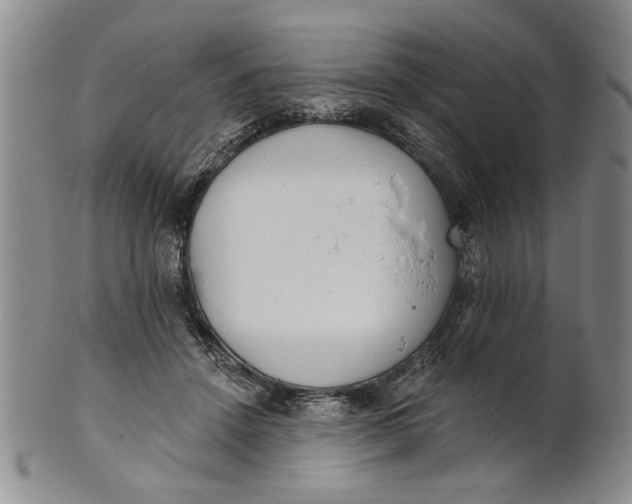 X0000100750456200807101707