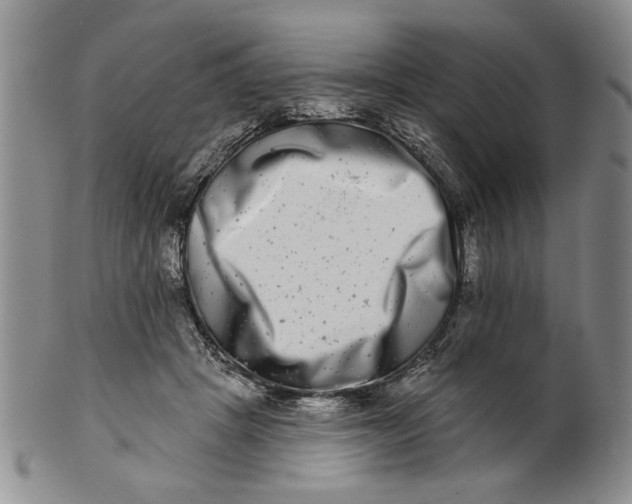 X0000100750457200807101707