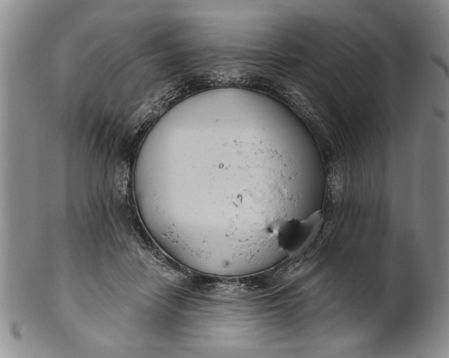 X0000100750458200807101708