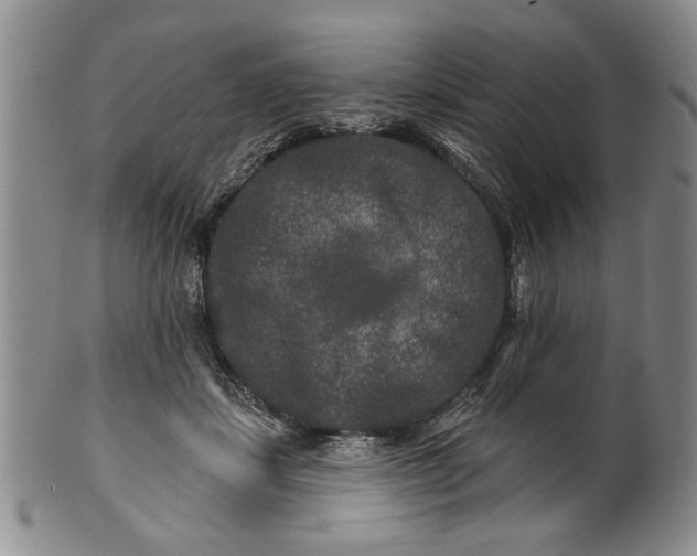 X0000100750459200807101708