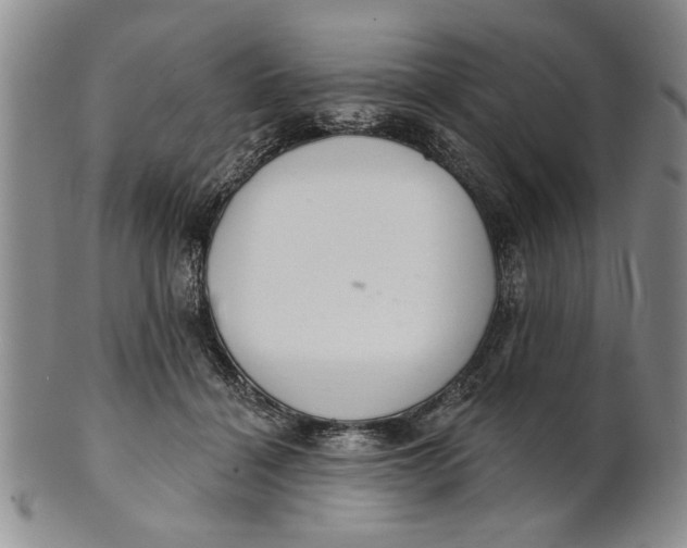 X0000100750460200807101708