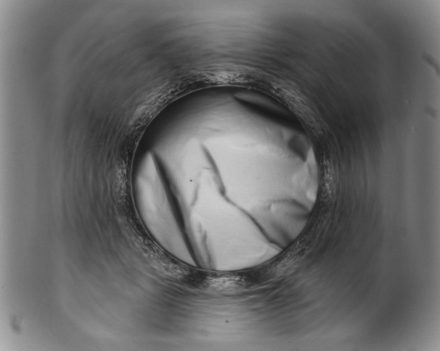 X0000100750461200807101708