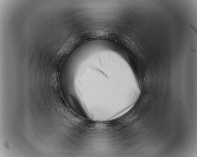 X0000100750462200807101708