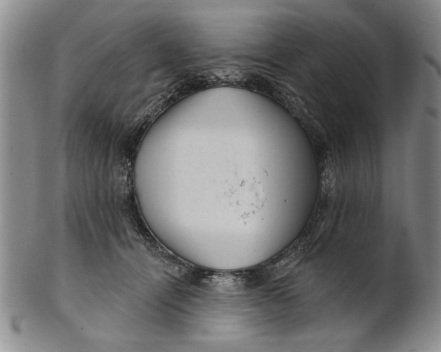 X0000100750464200807101708