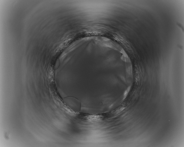 X0000100750465200807101708