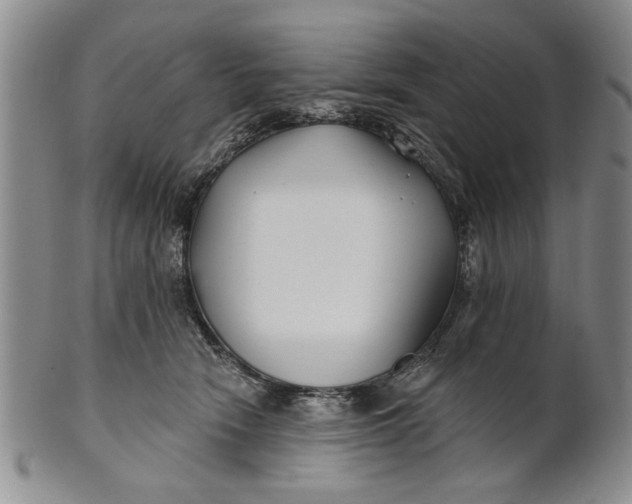 X0000100750466200807101708