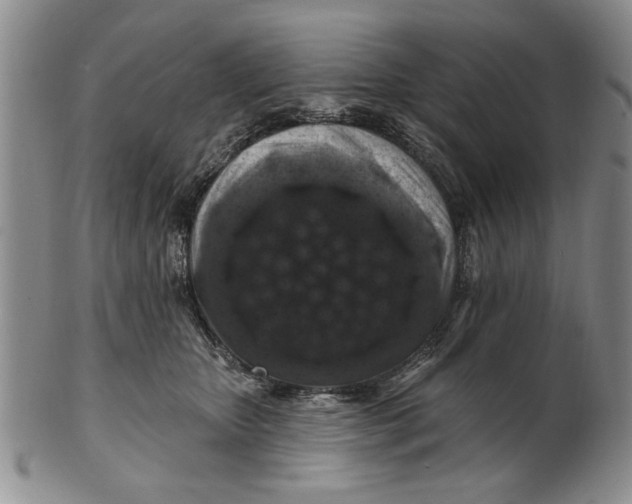 X0000100750467200807101708