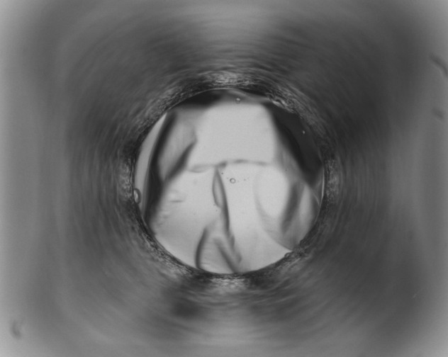 X0000100750469200807101708