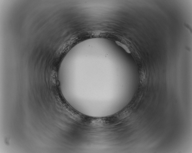 X0000100750470200807101708