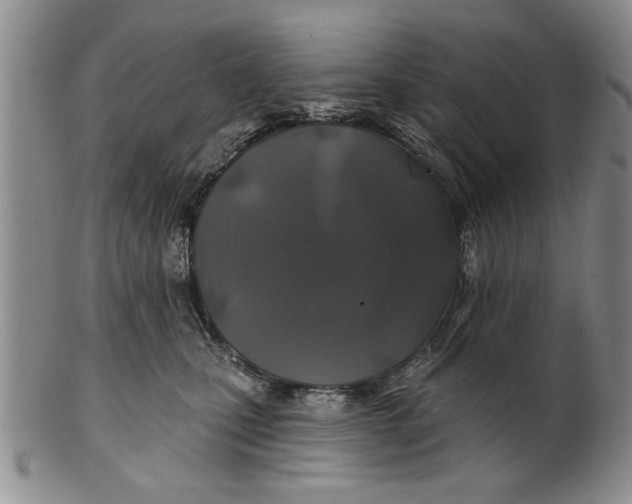 X0000100750471200807101708