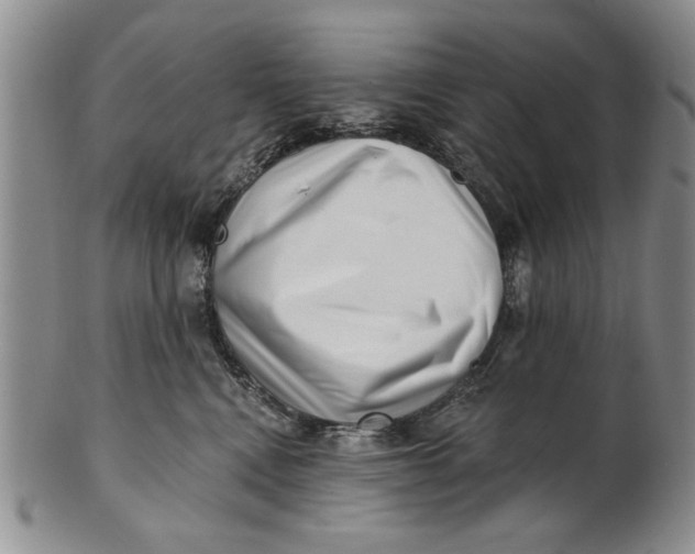 X0000100750472200807101708