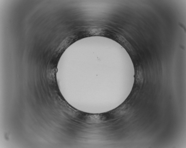 X0000100750473200807101708