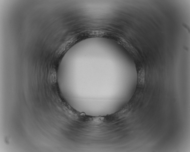 X0000100750474200807101708