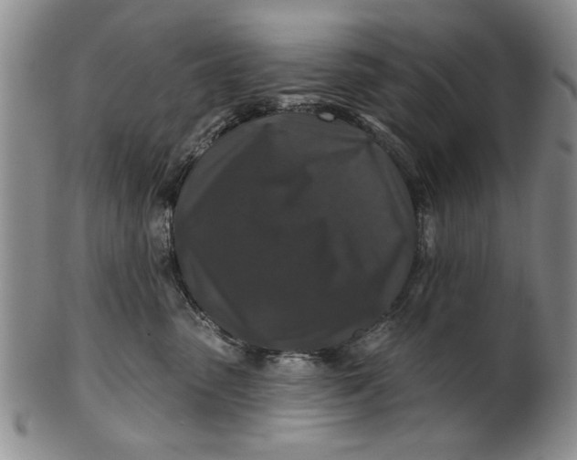 X0000100750475200807101708