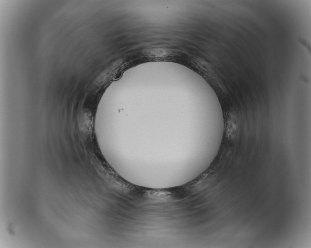 X0000100750476200807101708