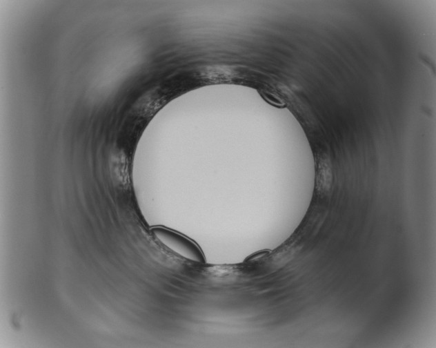 X0000100750477200807101708