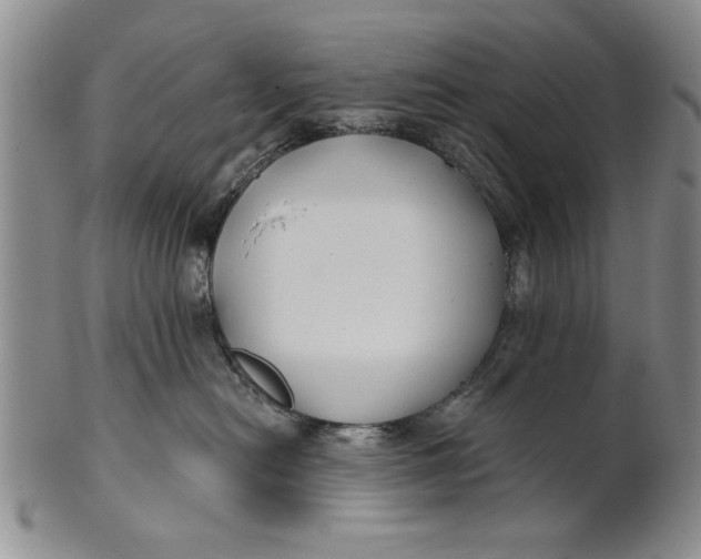 X0000100750478200807101708