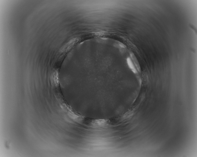 X0000100750479200807101708