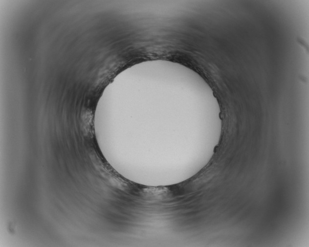 X0000100750480200807101708