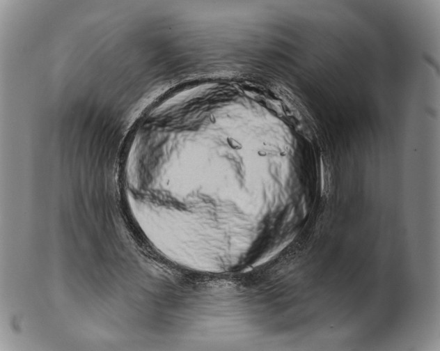 X0000100750483200807101707