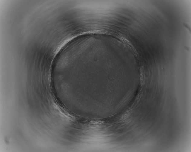 X0000100750484200807101707