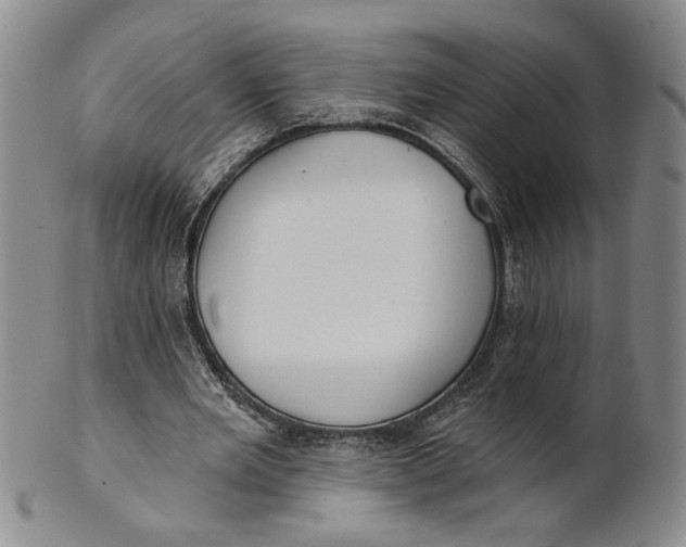 X0000100750485200807101707