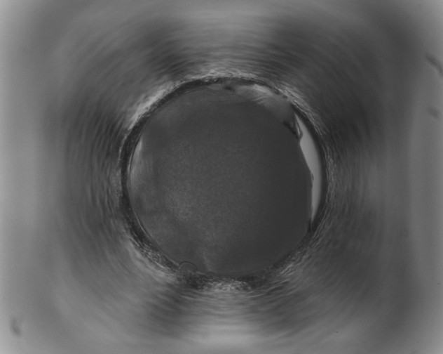 X0000100750488200807101707