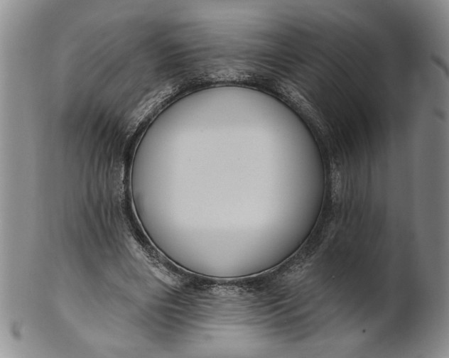 X0000100750490200807101707