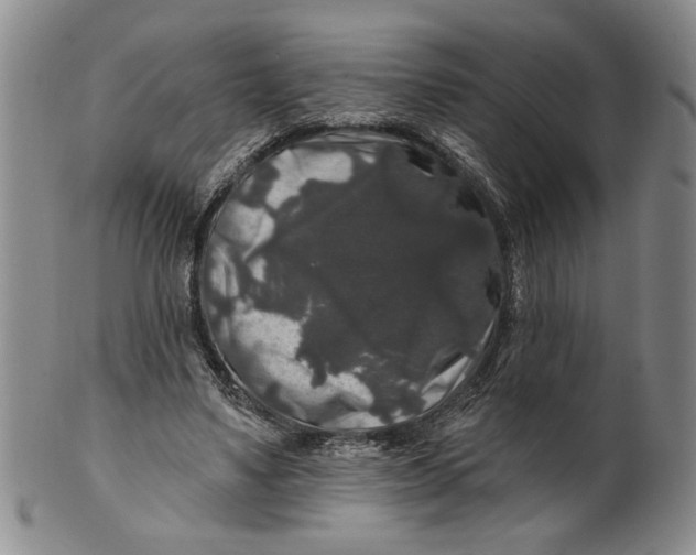 X0000100750491200807101707