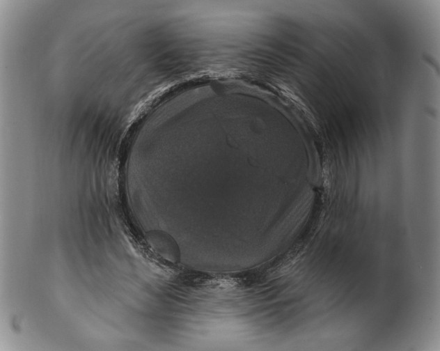 X0000100750492200807101707