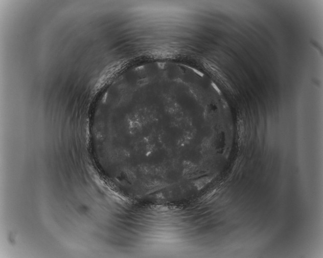 X0000100750494200807101707