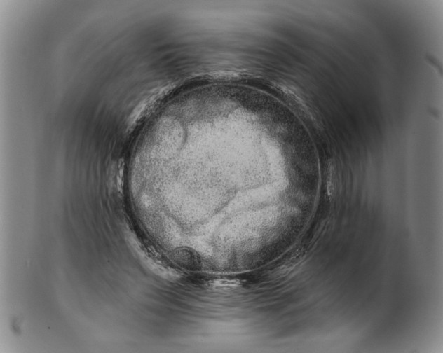 X0000100750495200807101707