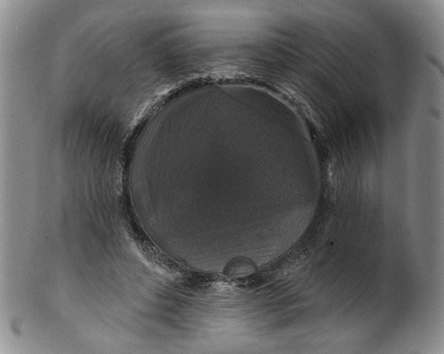 X0000100750496200807101707