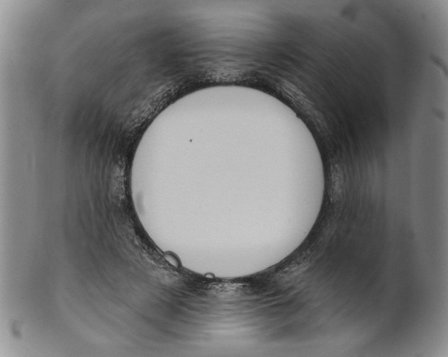 X0000100750497200807101707