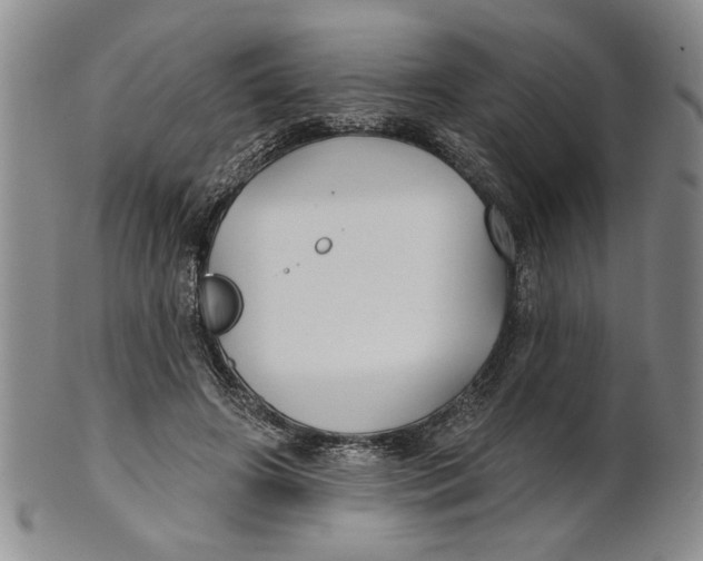 X0000100750498200807101707