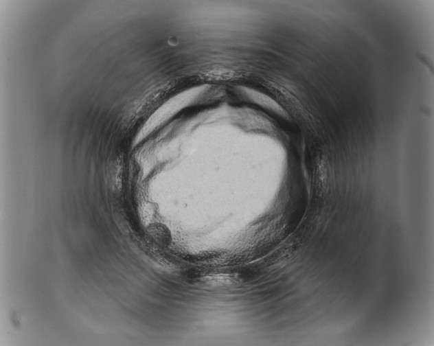 X0000100750499200807101707