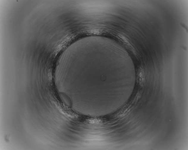 X0000100750500200807101707