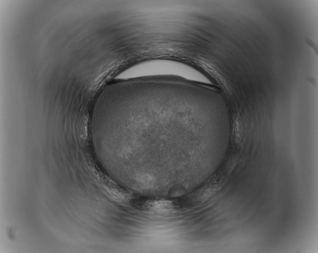 X0000100750501200807101707