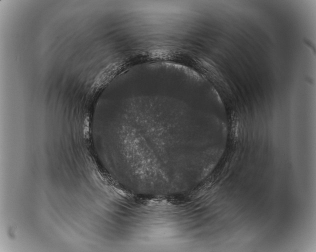 X0000100750502200807101707