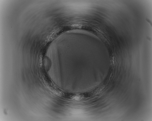 X0000100750504200807101706